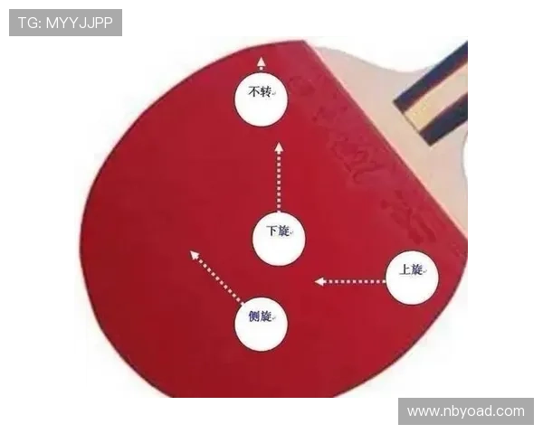 南京乒乓球队进攻策略解析与深度剖析乒乓球技术的奥秘与魅力